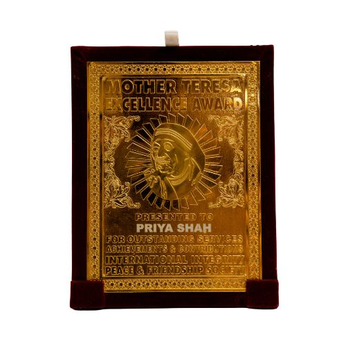 Mother Teressa Excellence Award, 2013